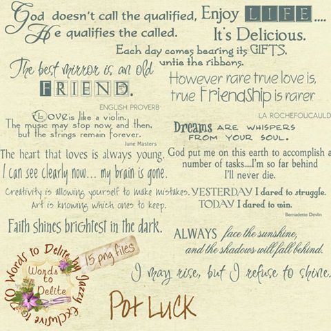 [lr-potluck-preview[4].jpg]