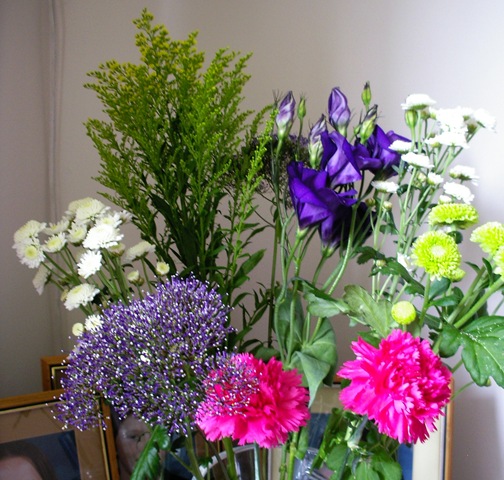 [Flowers 002[2].jpg]