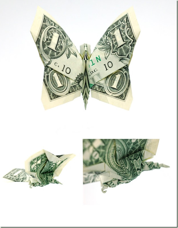 One_Dollar_Butterfly_by_orudorumagi11