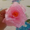 Crepe-Paper-Rose