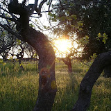 Yogaferien 2007