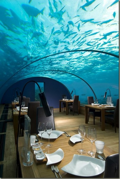 ithaa4-550x827 ithaa4-550x827