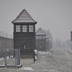 DSC_0167.jpg