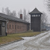 DSC_0021.jpg