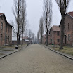 DSC_0074.jpg