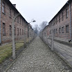 DSC_0082.jpg
