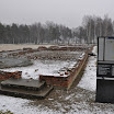 DSC_0222.jpg