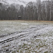 DSC_0224.jpg