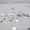 DSC_0250.jpg