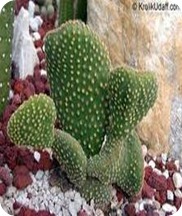 images_008 images_008