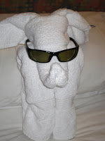 Towel Elefant Stole My Shades