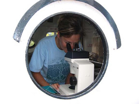 At work in the plankton lab.jpg