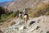 cabalgatas-cochiguaz-2.JPG