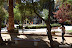 plaza-pisco-elqui.JPG