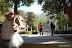 plaza-pisco-elqui-3.JPG