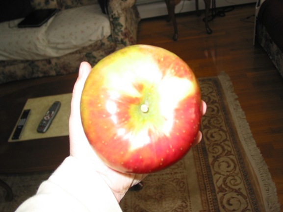 [Ginormous![3].jpg]