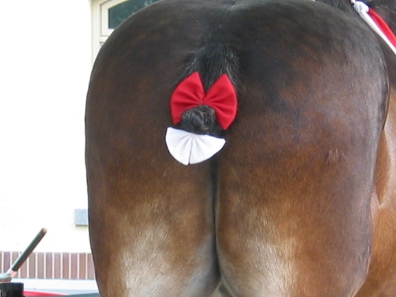 [Ass[3].jpg]