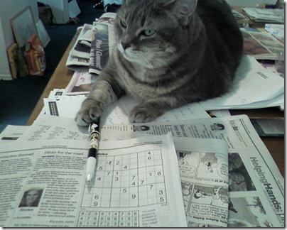fun_sudoku3 fun_sudoku3