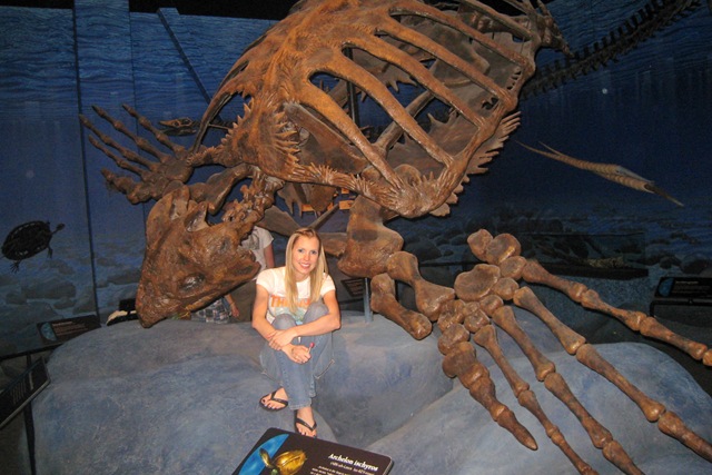 [Dinosaur Museum 056[3].jpg]