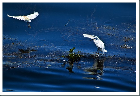 DSC_0101424 DSC_0101424