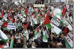 manifestacionsaharaui