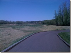 iPhone Pics 023