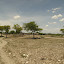 Maun - Sur la route (3).JPG