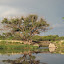 Maun - Old Bridge Backpacker (1).JPG