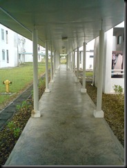 DSC02800