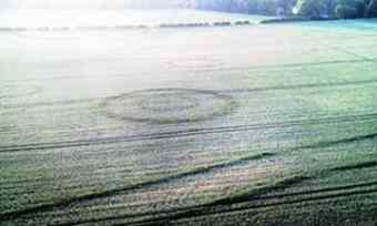 The crop circles  The crop circles