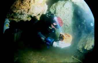 A diver retrieves the woman's remains A diver retrieves the woman's remains