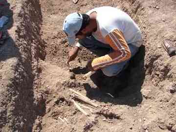 An archaeologist uncovers a skeleton from the Uruk colony's remains. Was this person killed by his/her own people?  An archaeologist uncovers a skeleton from the Uruk colony's remains. Was this person killed by his/her own people?