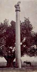Ashoka pillar at Lauriya Nandangarh Photograph: British Library Board 