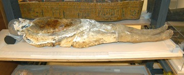 The Soapman mummy [Photo credit: Smithsonian Institution]
