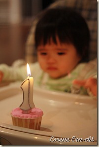 IMG_2342 IMG_2342