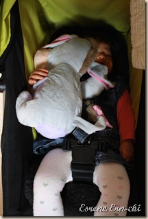 IMG_2159 IMG_2159