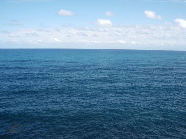 [IMGP0325_.jpg]