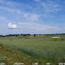 Aland IMG_15520_910.jpg, Aland Islands, Aland - landscapes