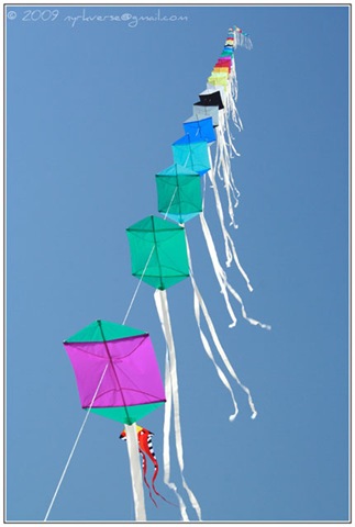 [kites05[10].jpg]