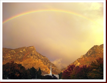Rainbow 008