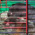 100_4145.JPG
