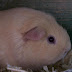 100_4247.JPG
