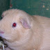 100_4249.JPG