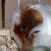 100_6305.JPG