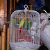100_6335.JPG