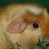 DSCF4993.JPG