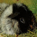 DSCF5005.JPG