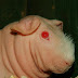 DSCF5015.JPG