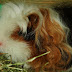 DSCF5027.JPG