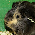 DSCF5037.JPG